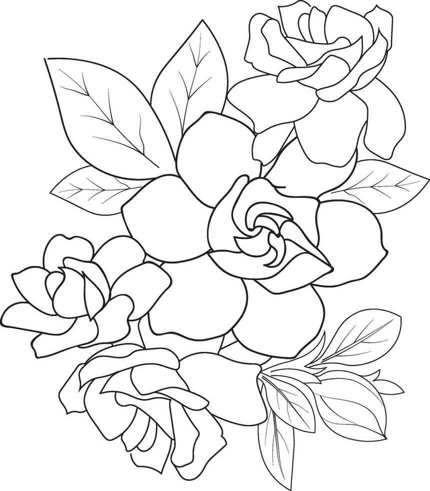 Gardenia flower drawing, gardenia magnolia coloring pages easy gardenia flower drawing, pencil gardenia flower drawing, botanical gardenia drawing, realistic gardenia flower drawing vector