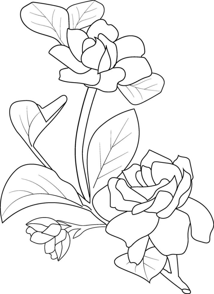 gardenia flor dibujo, gardenia magnolia colorante paginas fácil gardenia flor dibujo, lápiz gardenia flor dibujo, botánico gardenia dibujo, realista gardenia flor dibujo vector