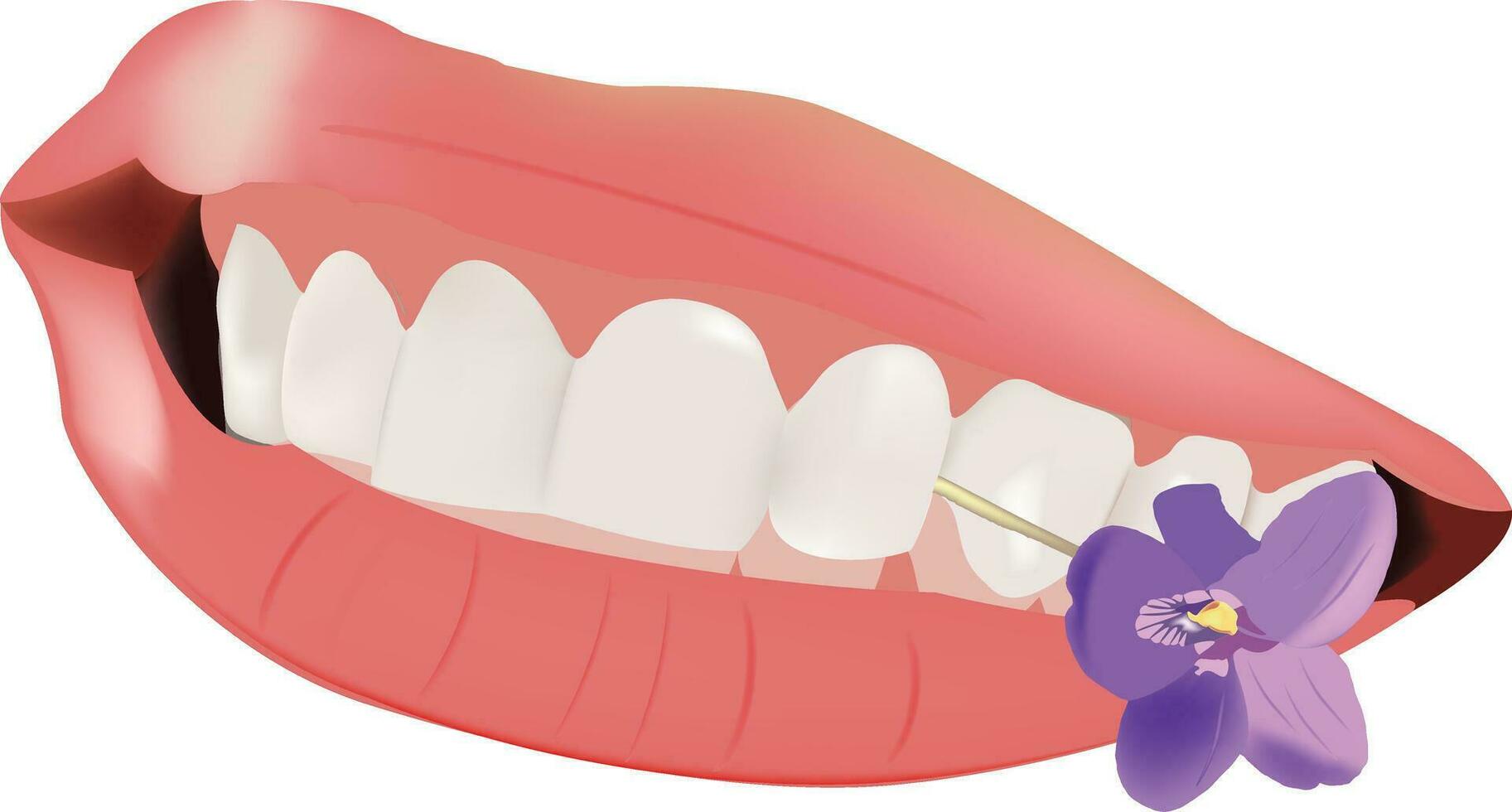 Female smile with a flower between her teeth purple- vector