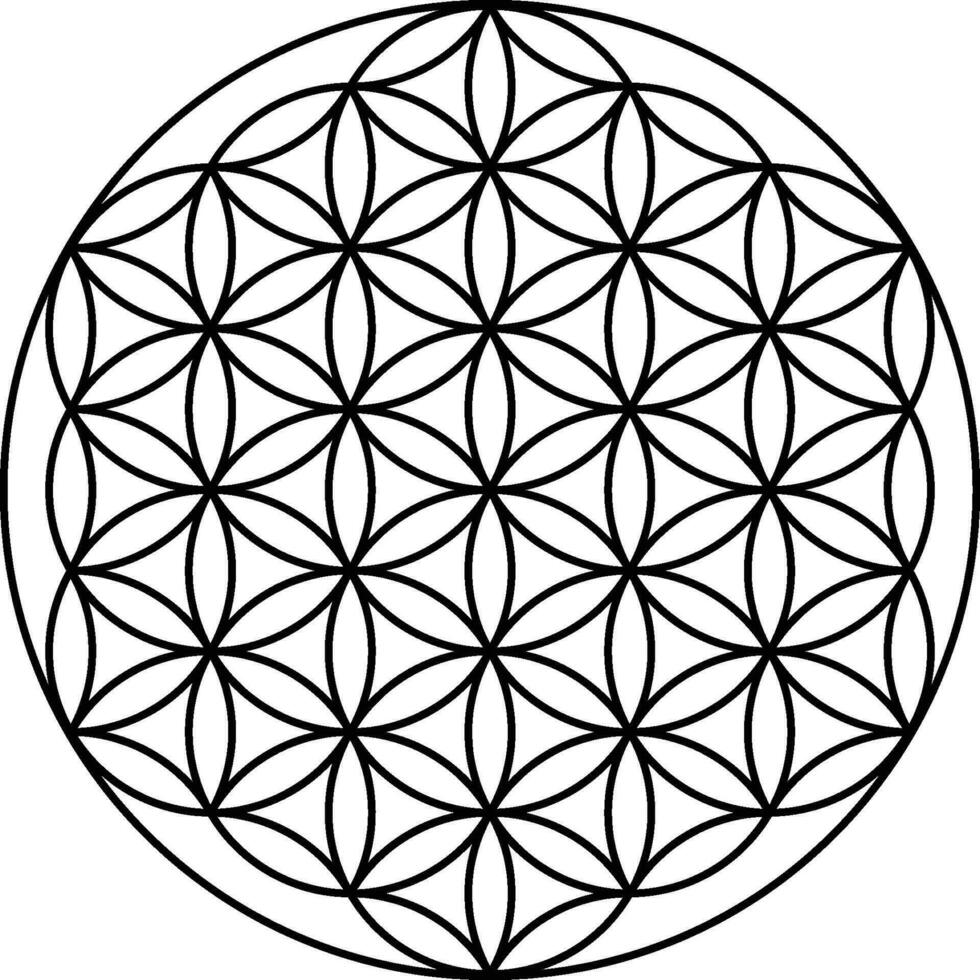 Flower of life vector isolated on white background. Sacred geometry symbol concept.