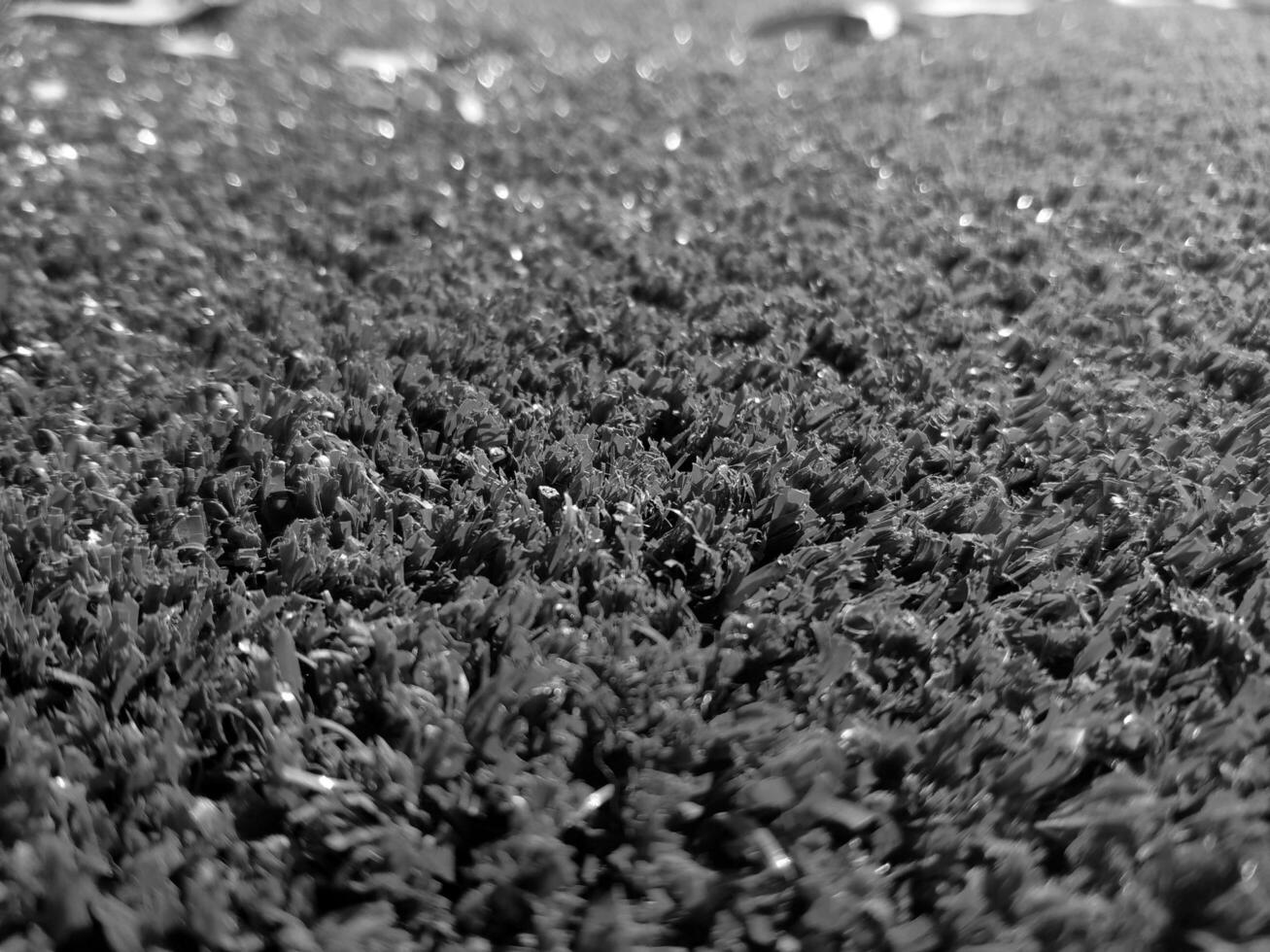 Black and white grass background close view, grayscale grass photo