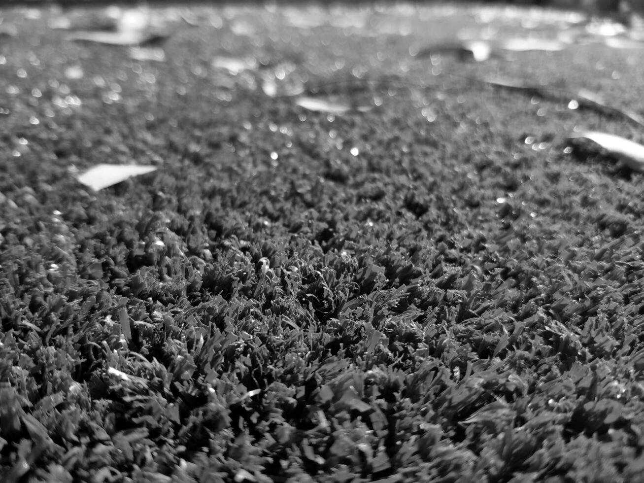 Black and white grass background close view, grayscale grass photo