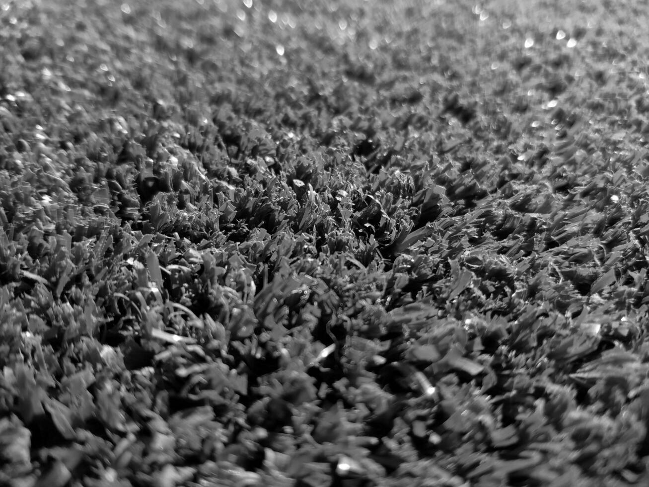 Black and white grass background close view, grayscale grass photo