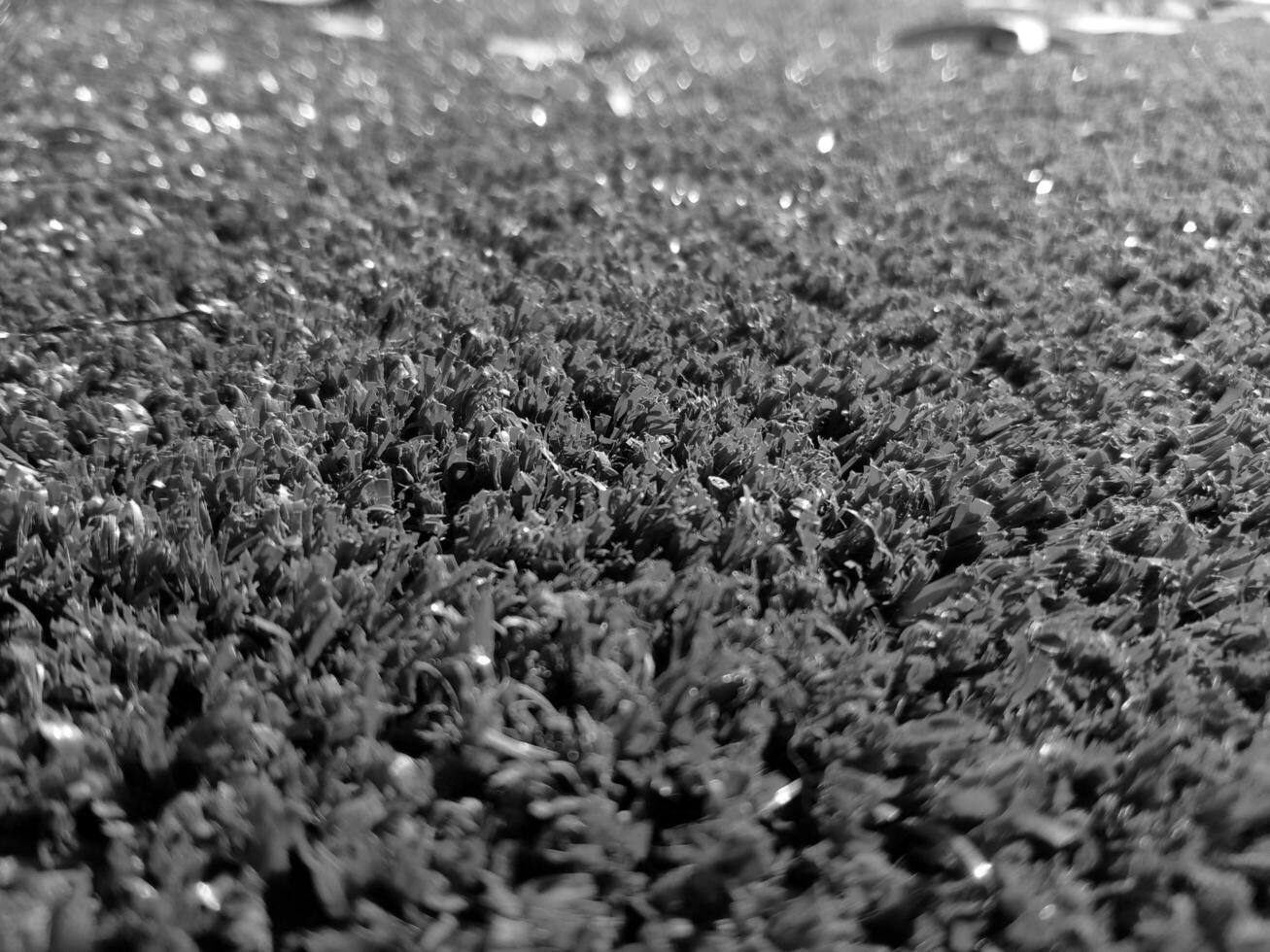 Black and white grass background close view, grayscale grass photo