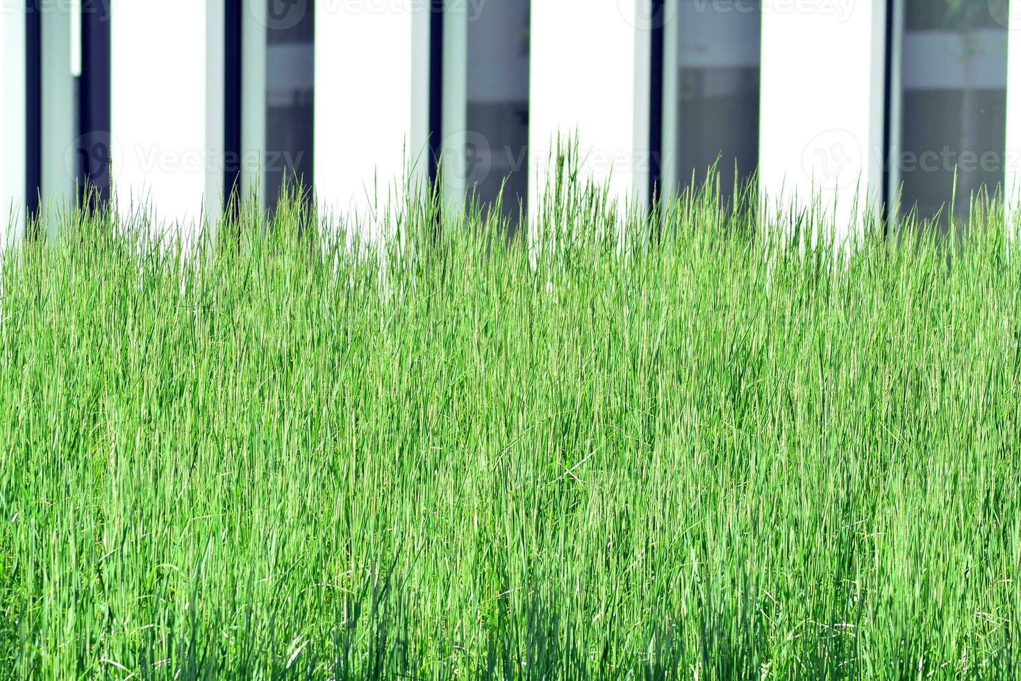 Abstract closeup of the glass-clad facade of a modern building covered in reflective plate glass. Architecture abstract background. Glass wall and facade detail. photo