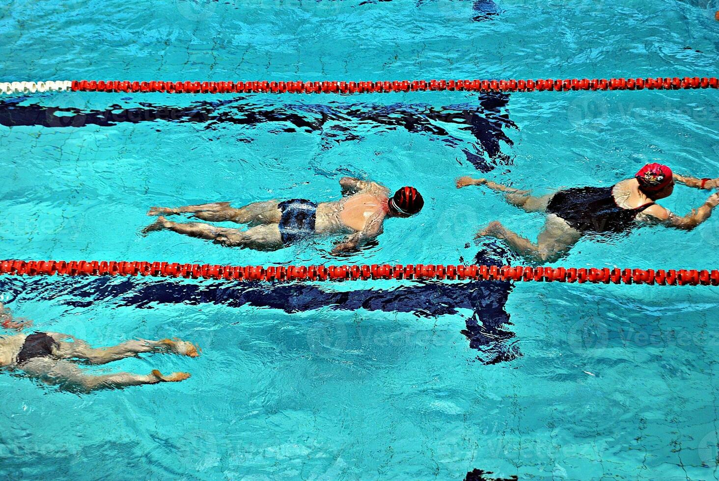 Swimming in the swimming pool photo