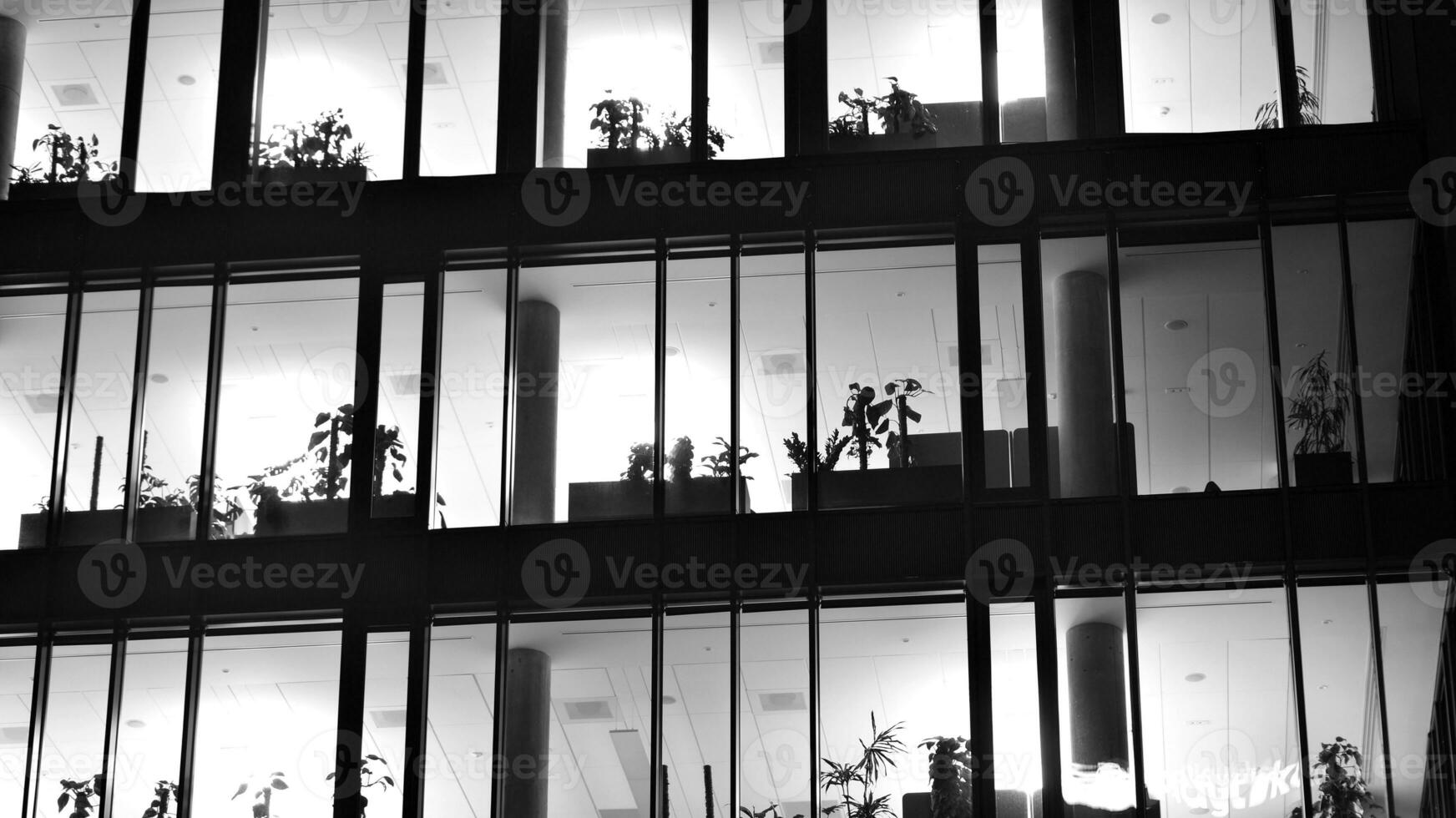 Pattern of office buildings windows illuminated at night. Glass architecture ,corporate building at night - business concept. Black and white. photo