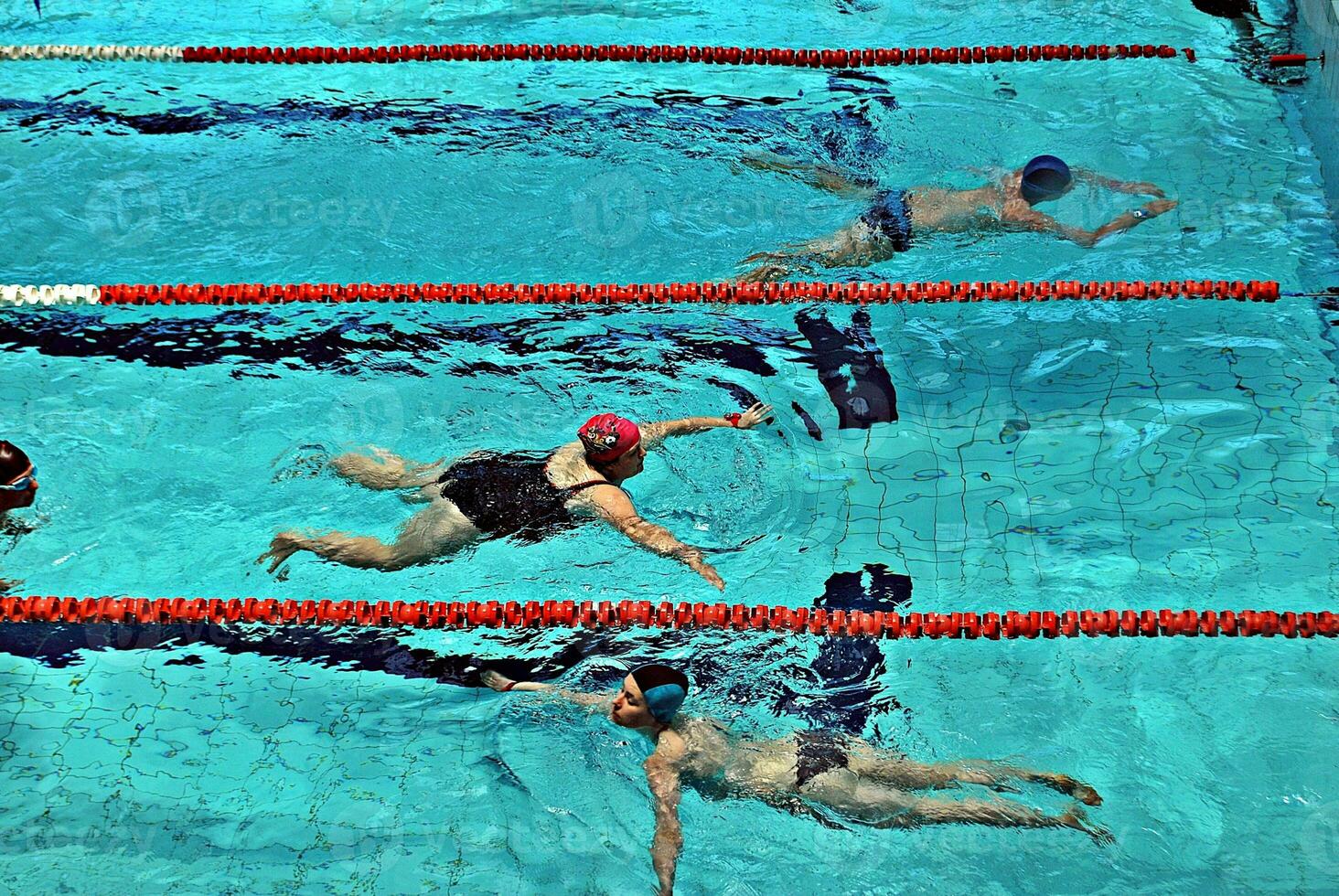 Swimming in the swimming pool photo