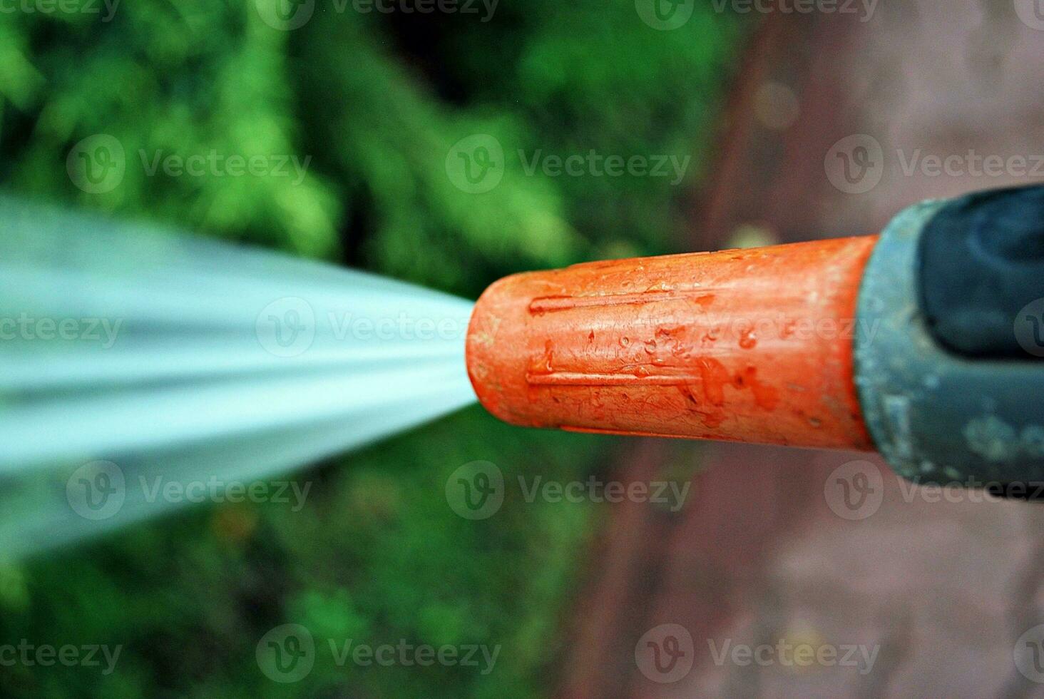 Water spraying from a garden hose photo