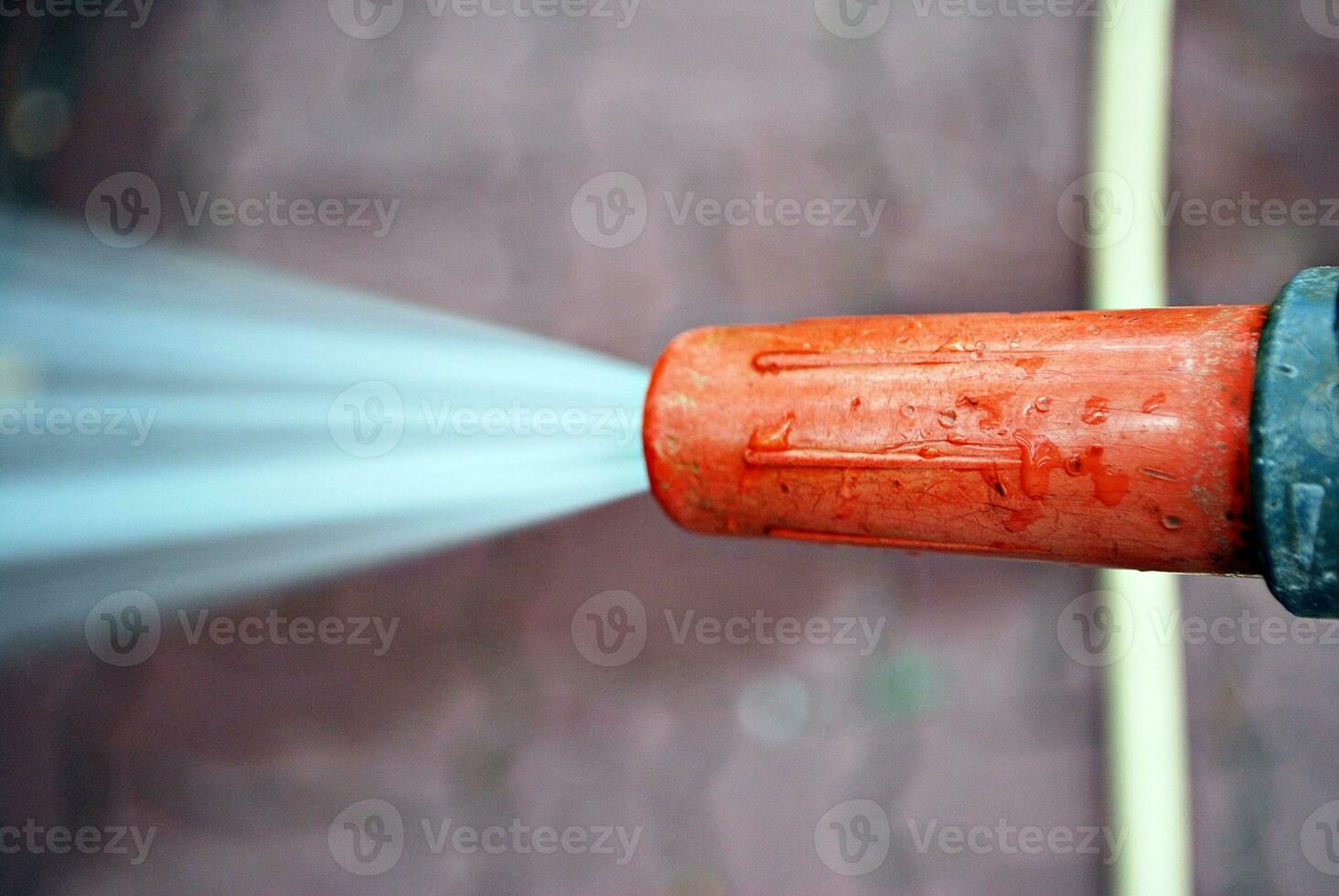 Water spraying from a garden hose photo