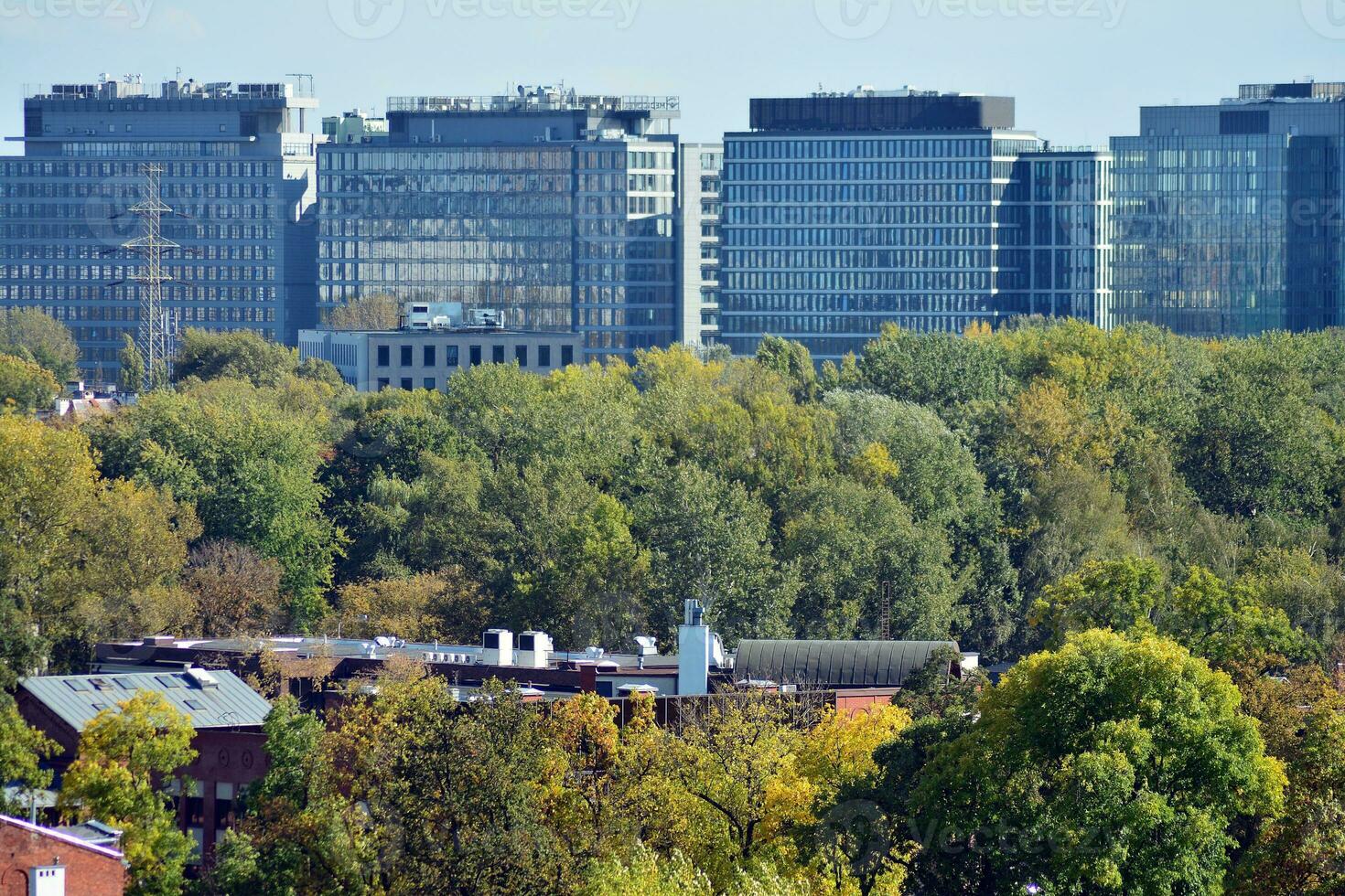 View of modern skyscrapers in the city center. photo