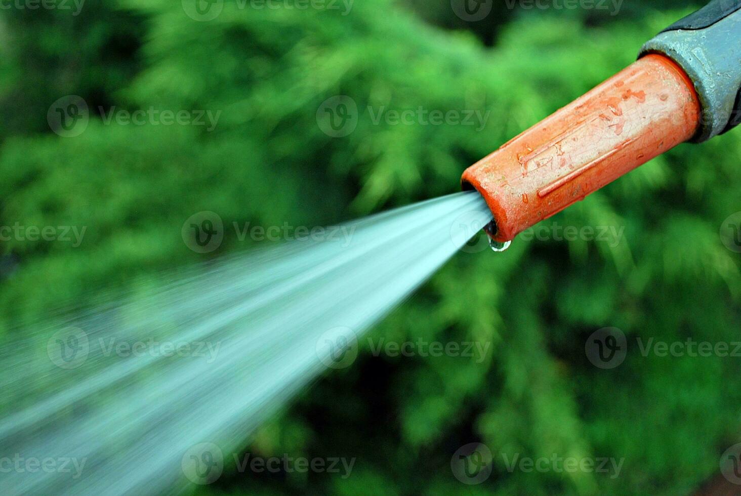 Water spraying from a garden hose photo