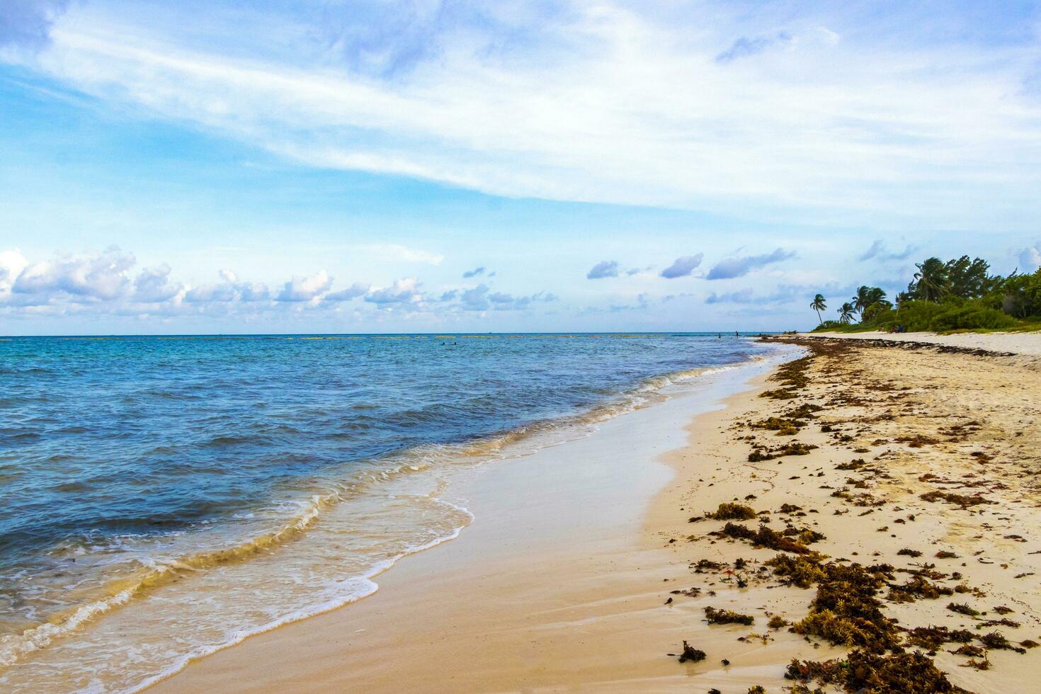 playa caribeña tropical agua clara turquesa playa del carmen méxico. foto