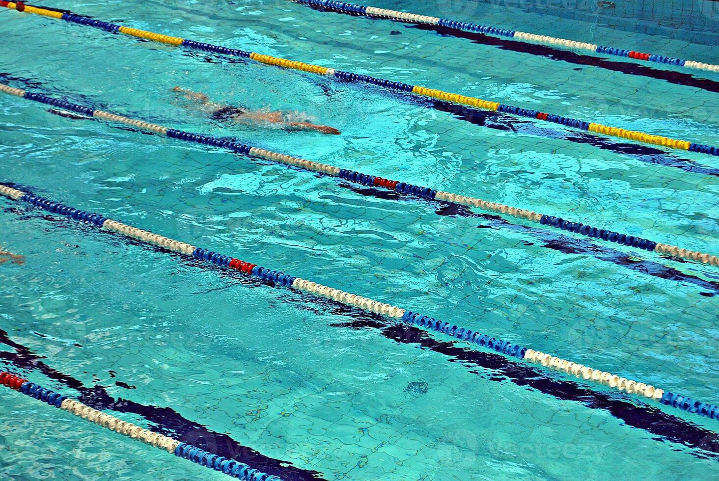 Swimming in the swimming pool photo