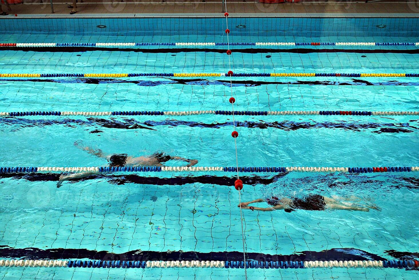 Swimming in the swimming pool photo