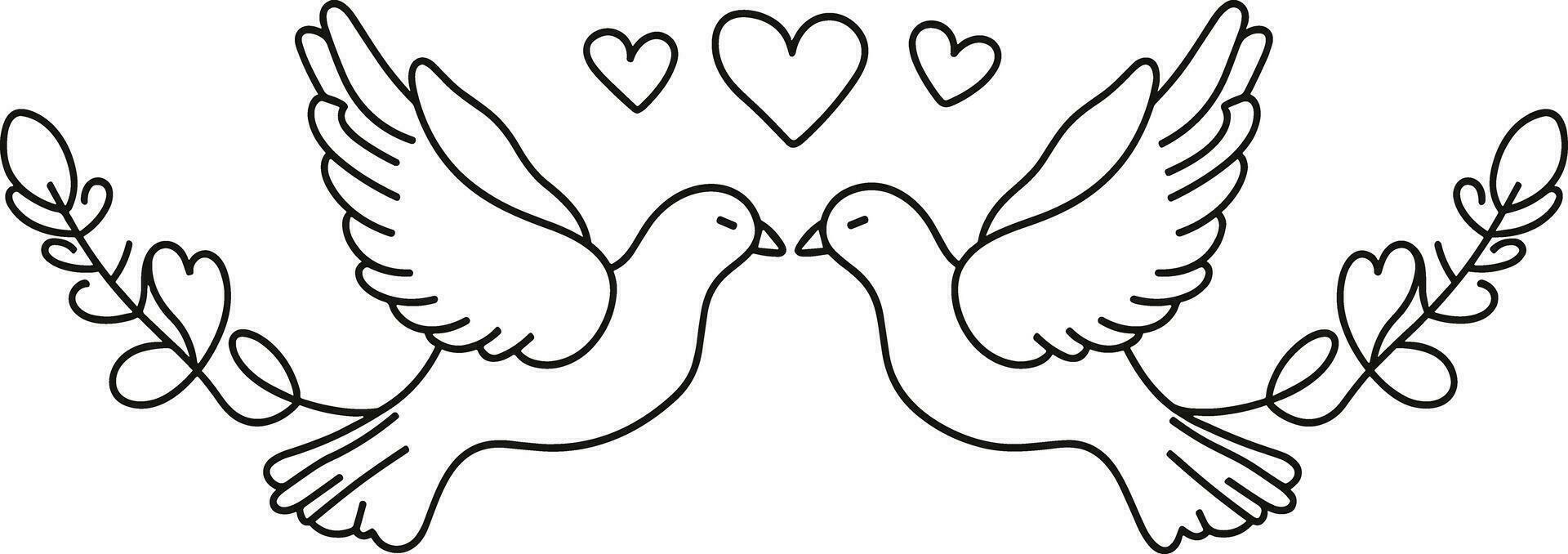 Couple Dove of love, vector of dove line art illustration , Valentine's Day concept, romantic symbol, love theme, decorative, romantic birds, valentine's decoration, couple birds