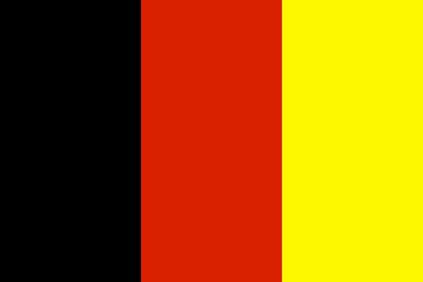 Flag of Minang vector