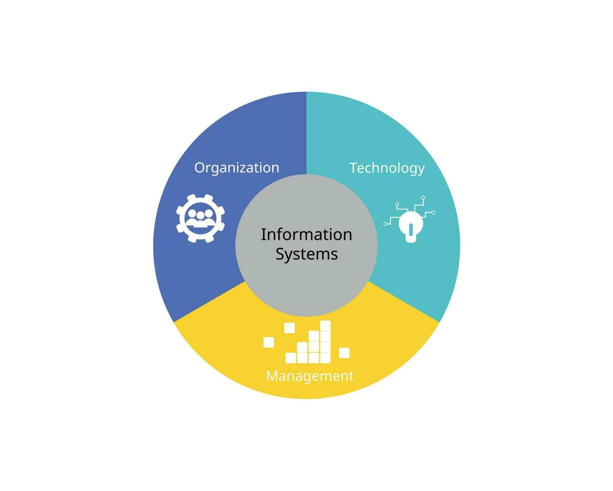 dimensions of information systems include organizations, management, and information technology vector