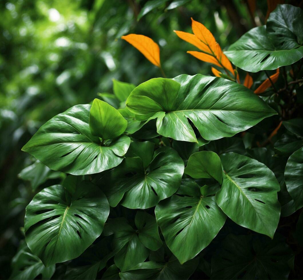 AI generated Tropical green leaves background with selective focus and shallow DOF photo