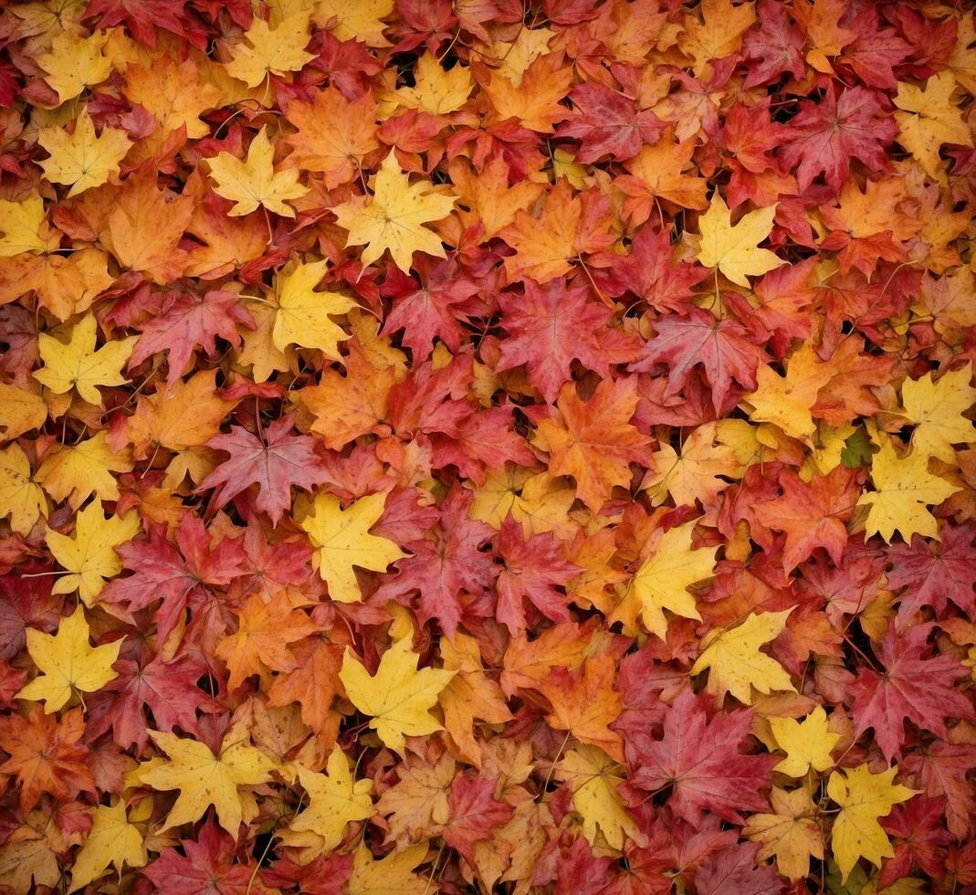 AI generated Autumn leaves background. Colorful autumn leaves background. Fall background photo