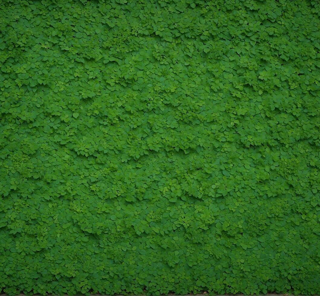 ai generado verde hoja pared textura antecedentes. verde hoja pared textura. verde hoja pared antecedentes. foto