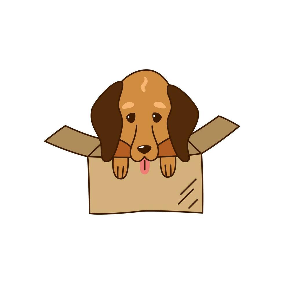 Cute little dachshund in a cardboard box. Shelter a pet. Kawaii vector illustration.