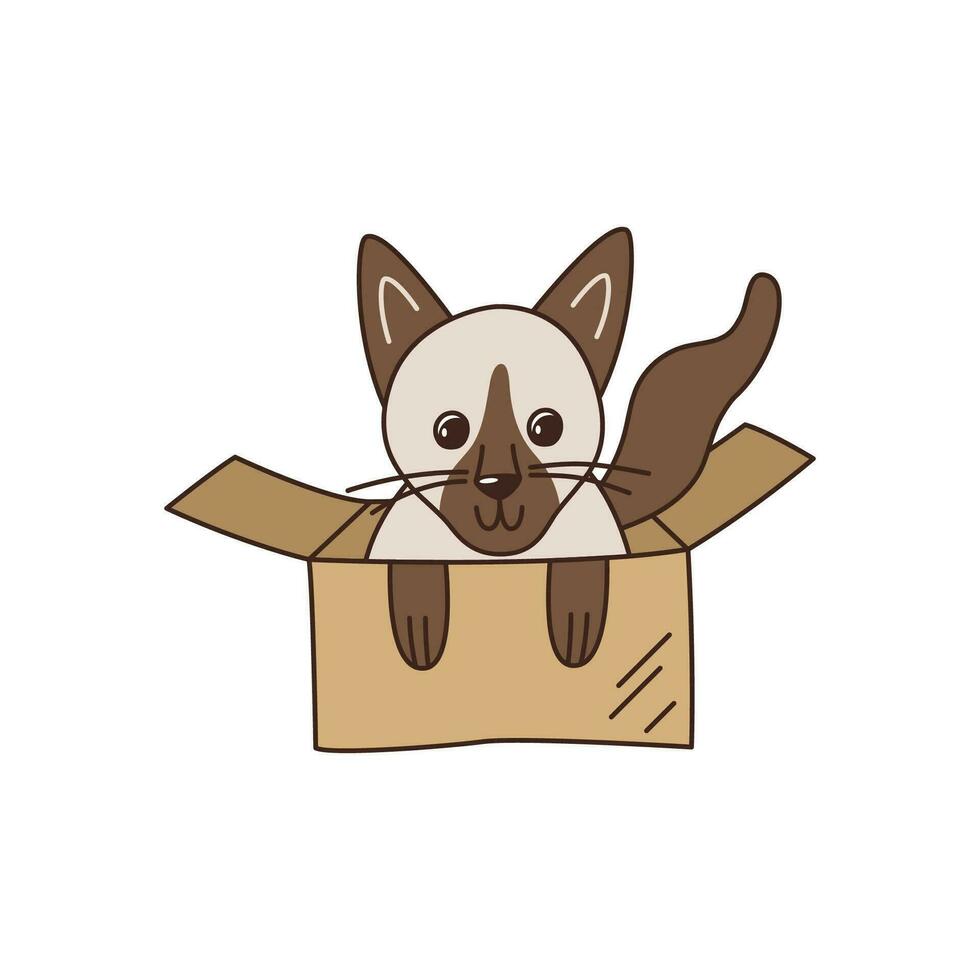 Cute little Siamese cat in a cardboard box. Shelter a pet. Kawaii vector illustration.