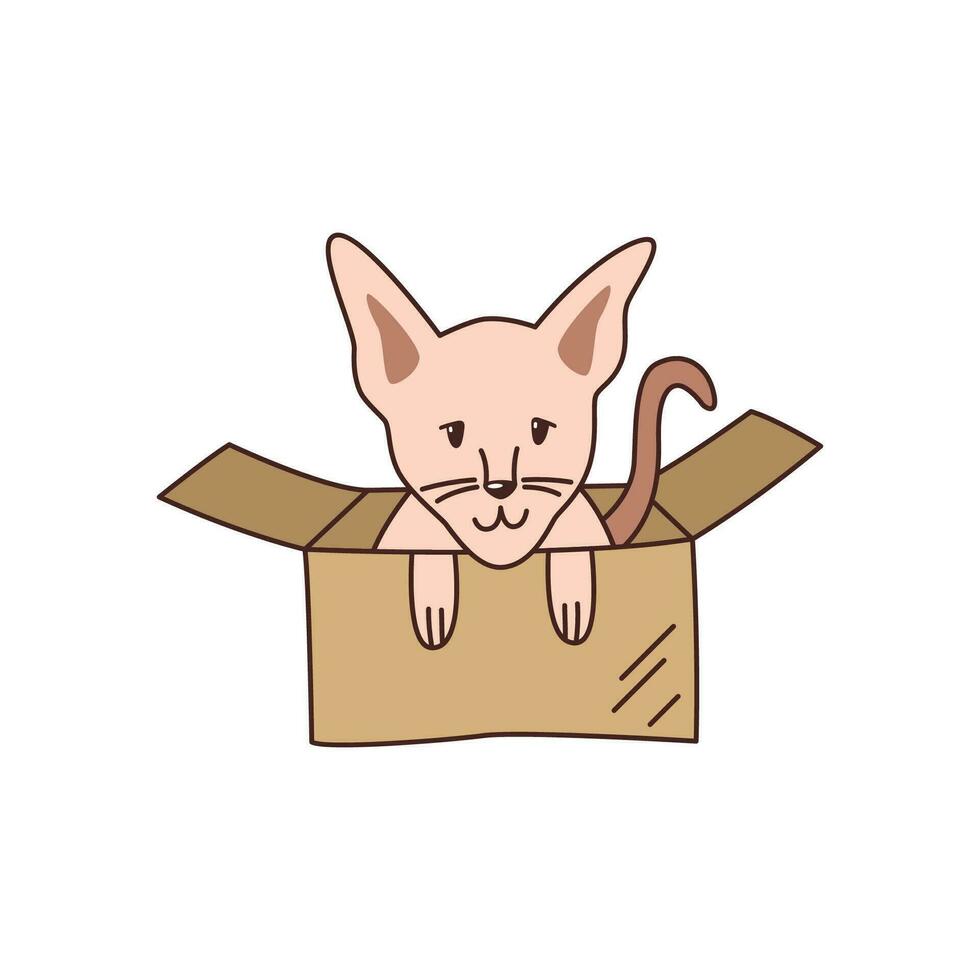 Cute little sphynx cat in a cardboard box. Shelter a pet. Kawaii vector illustration.