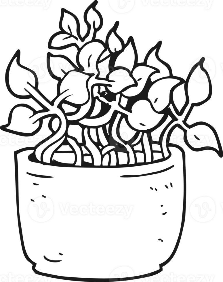 black and white cartoon house plant png