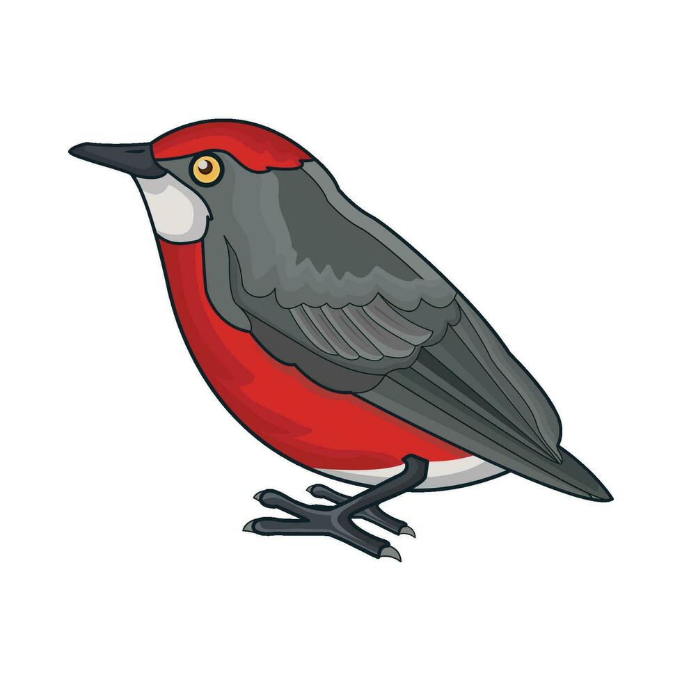 illustration of bird vector