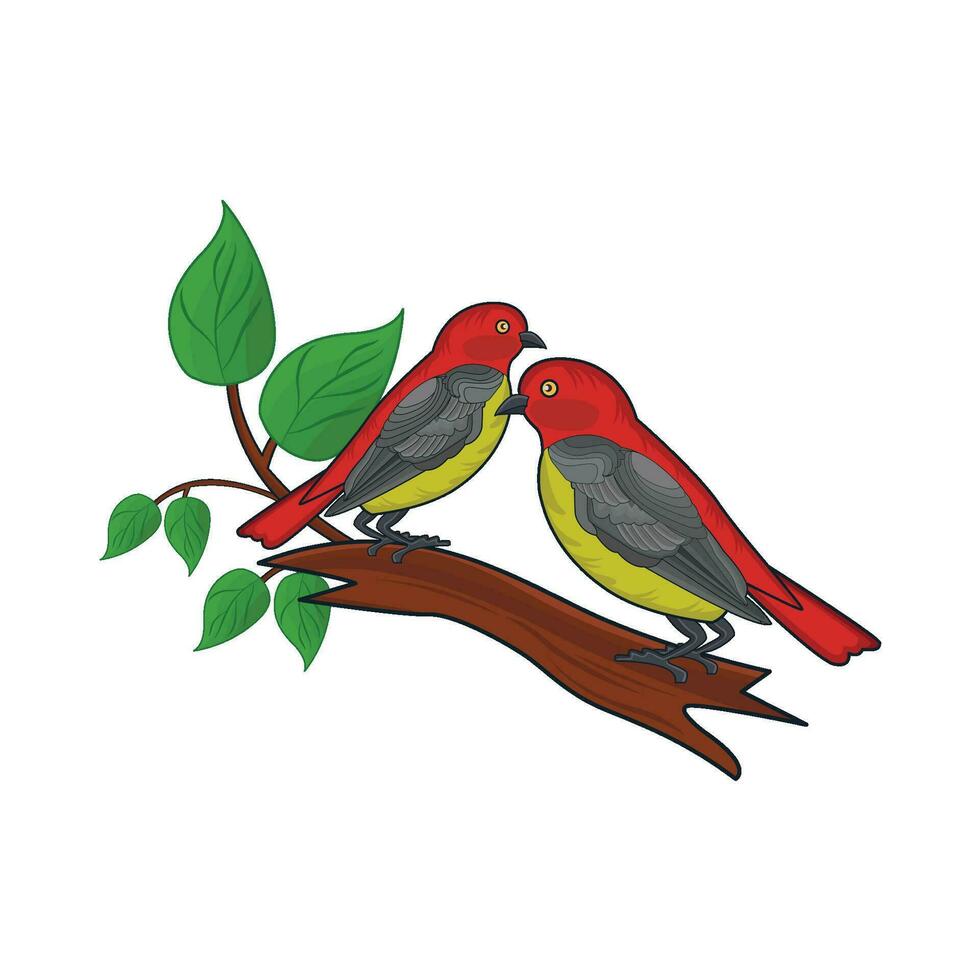 ilustración de pájaro vector