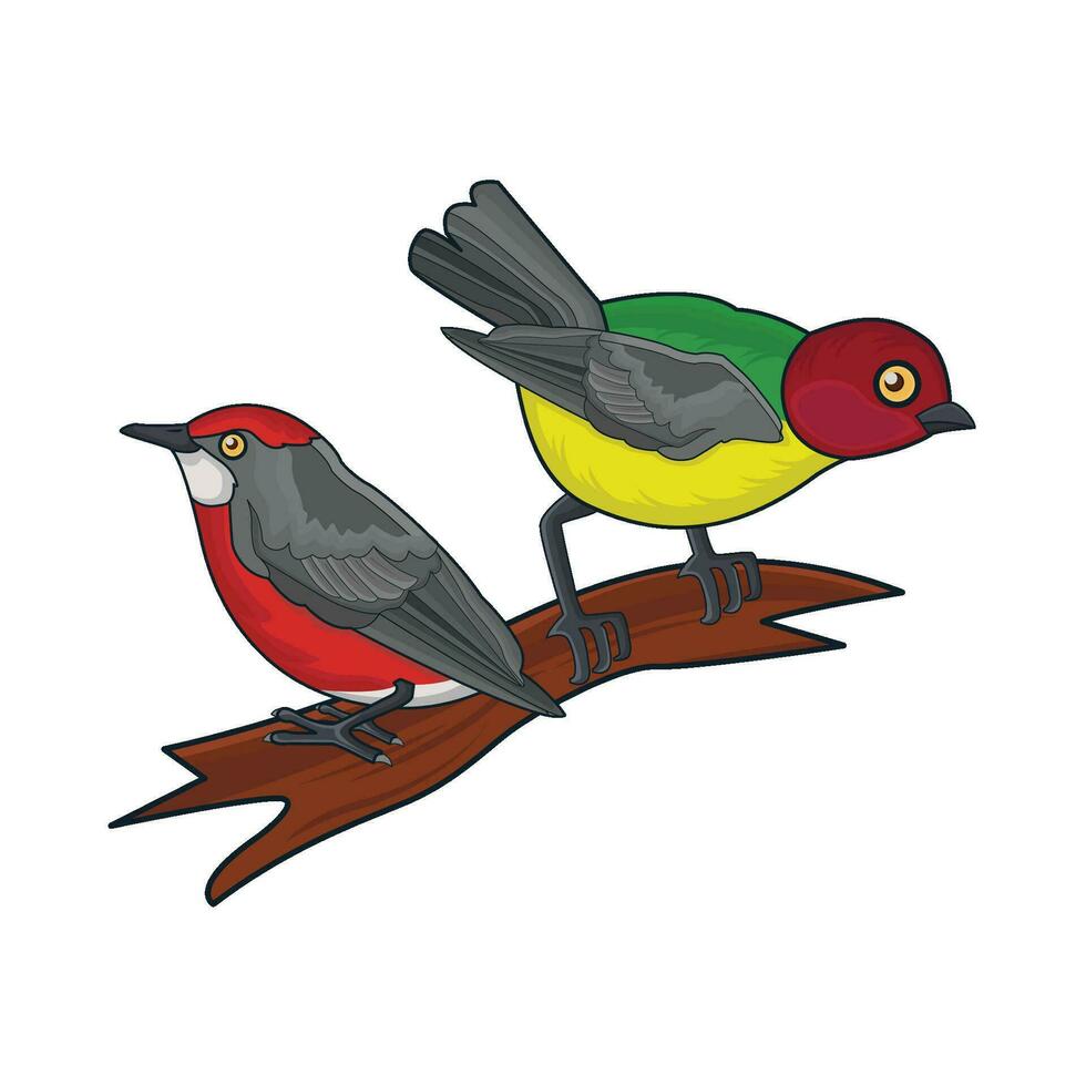 dos aves en ramita ilustración vector