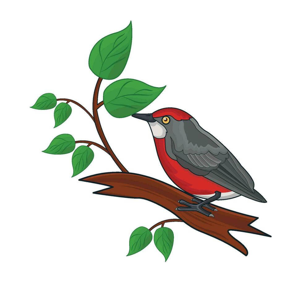 illustration of bird vector