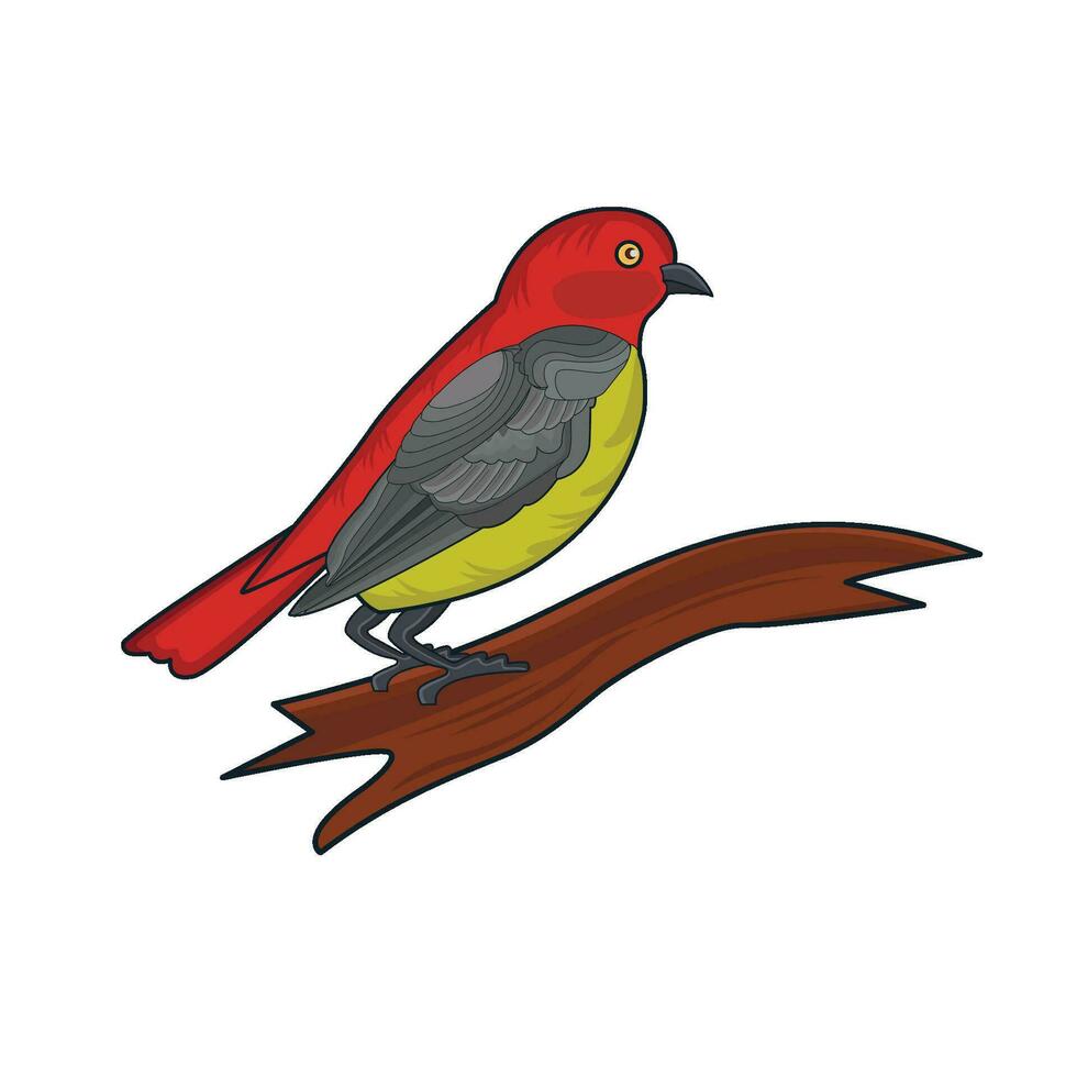 illustration of bird vector