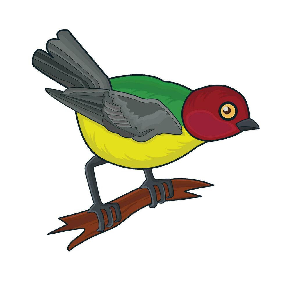 pájaro con ramita ilustración vector