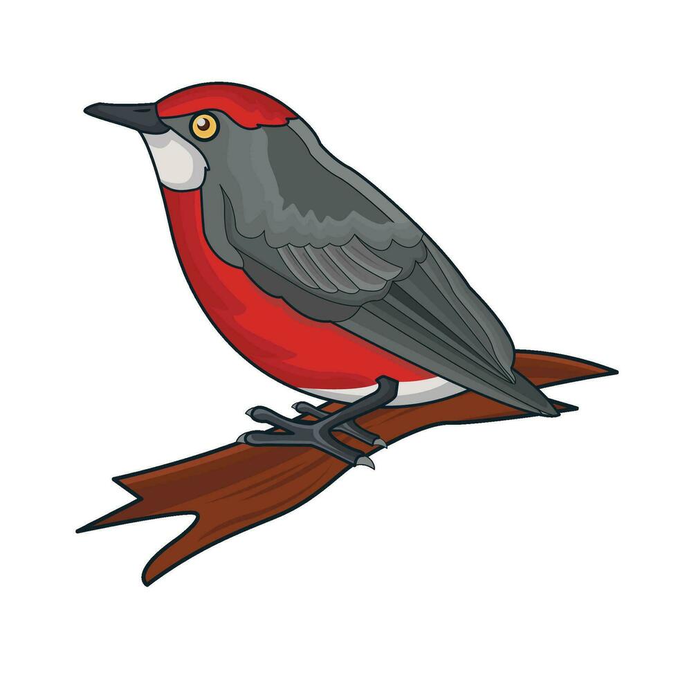 illustration of bird vector