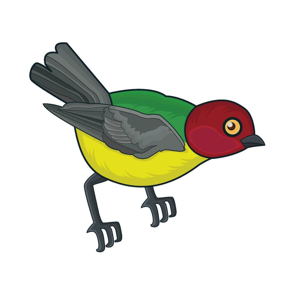 illustration of bird vector