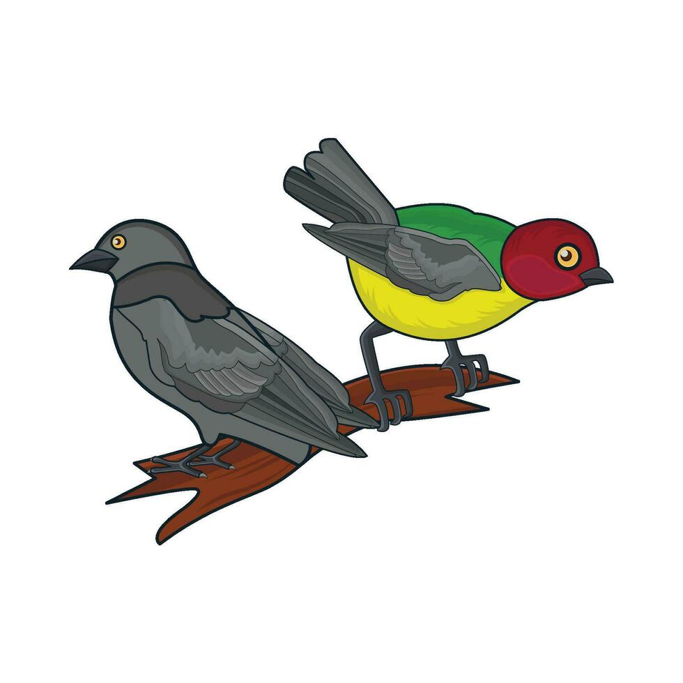 two birds on twig illustration vector