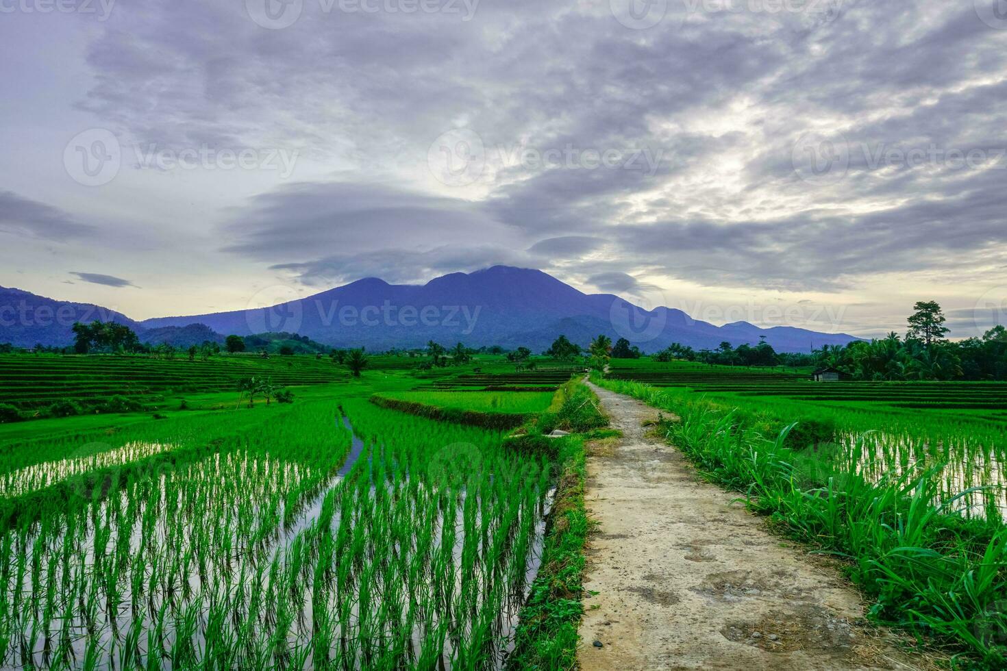 beautiful morning view from Indonesia of mountains and tropical forest photo