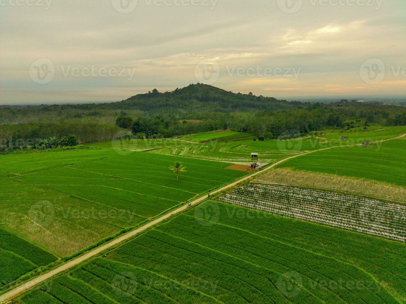 the beauty of the morning panorama with sunrise in indonesia village photo