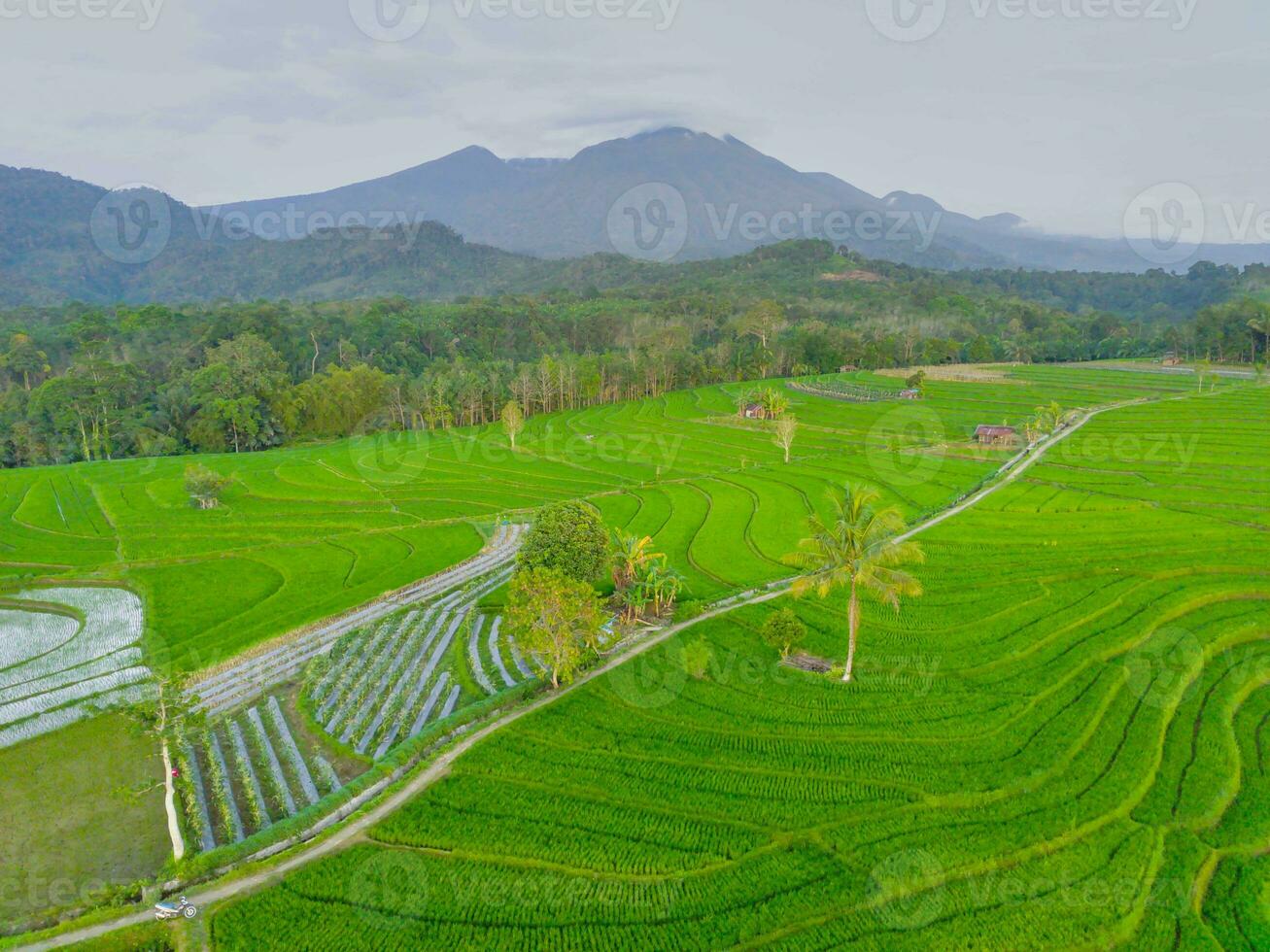 the beauty of the morning panorama with sunrise in indonesia village photo