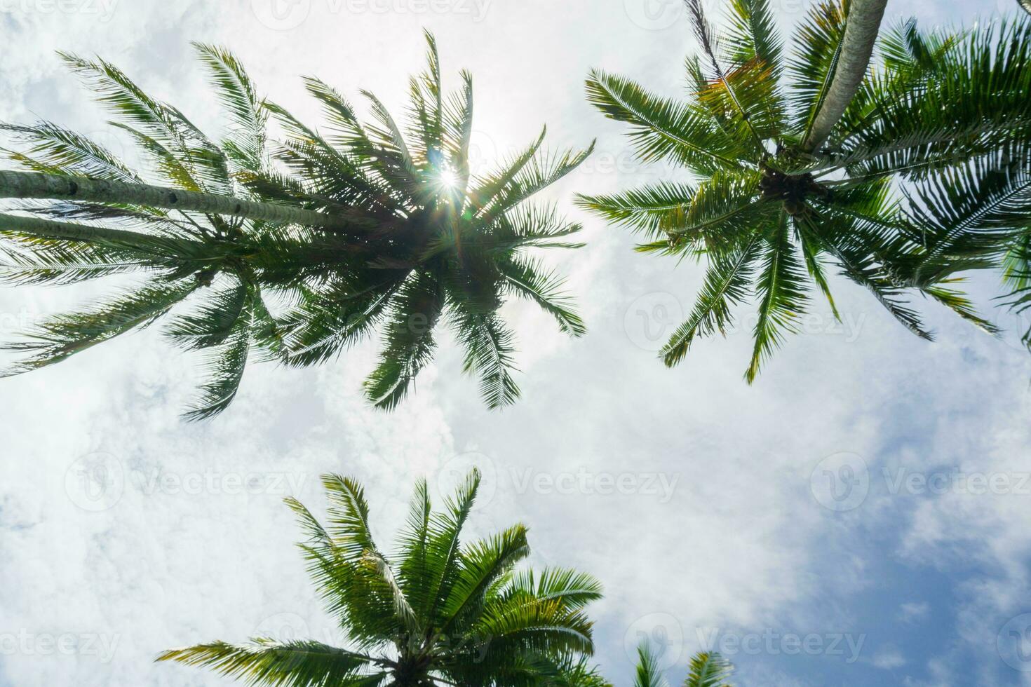 beautiful morning view from Indonesia of mountains and tropical forest photo