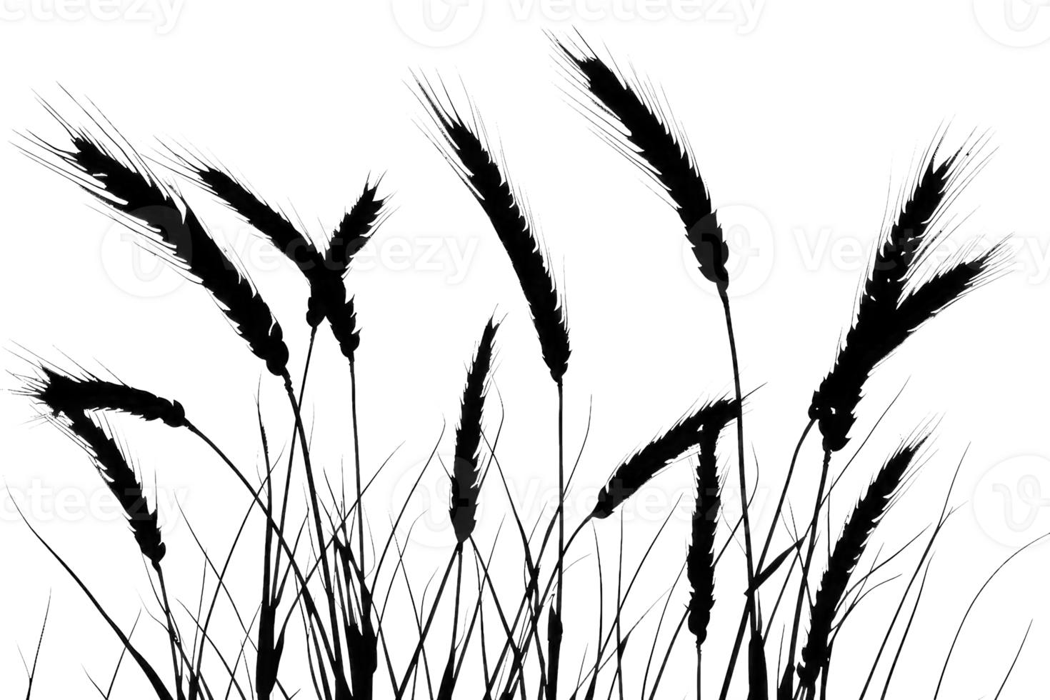 AI generated A black silhouette from cereal ears. AI generated png