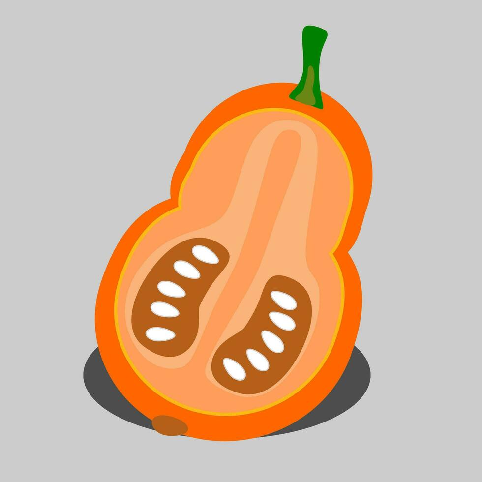 illustration of a pumpkin vector