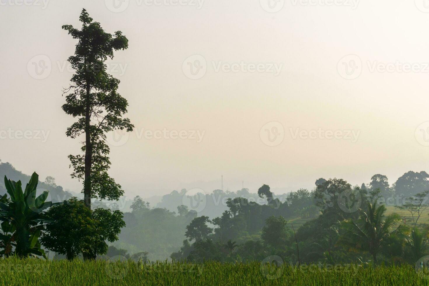 beautiful morning view from Indonesia of mountains and tropical forest photo