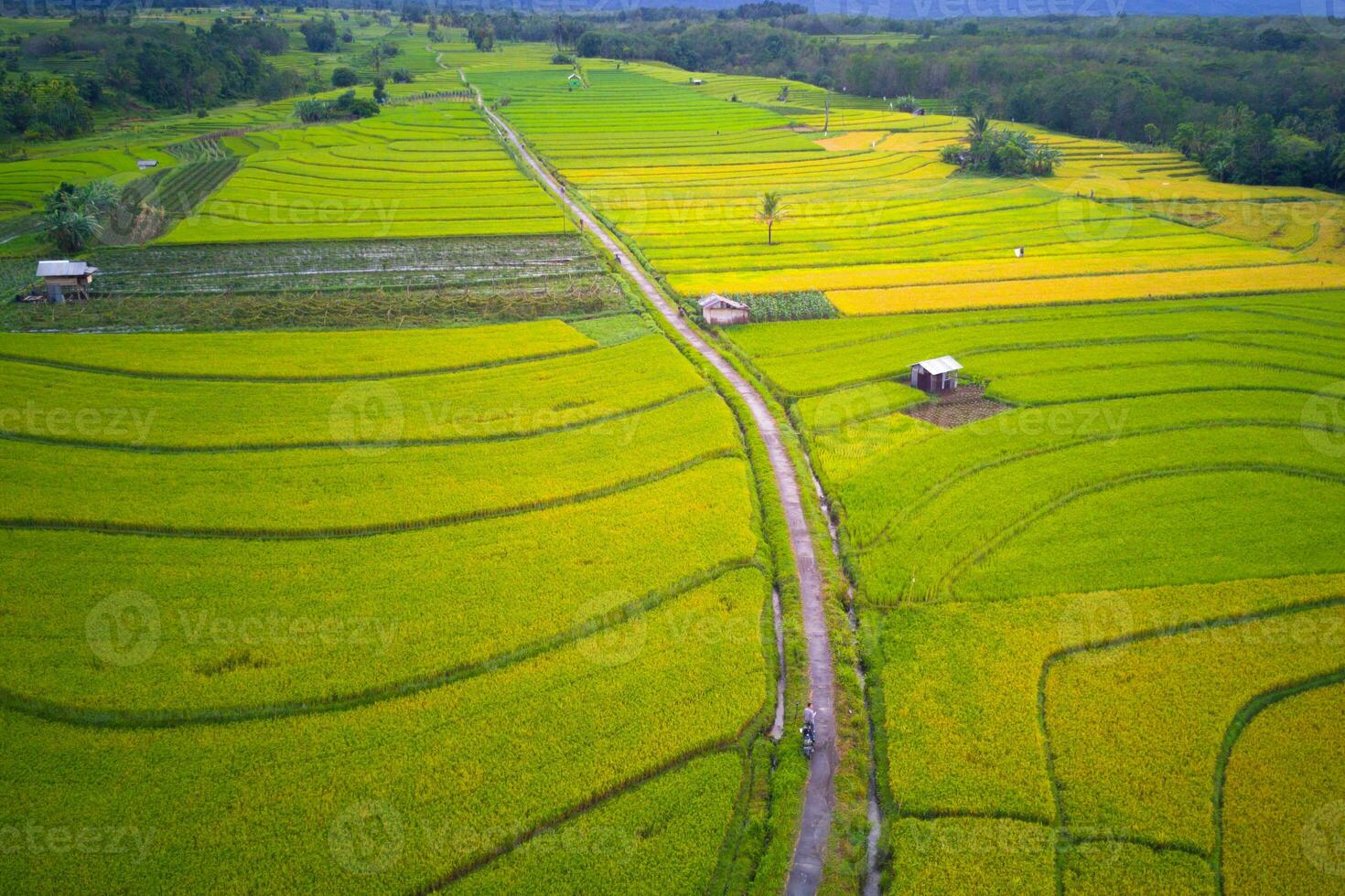 the beauty of the morning panorama with sunrise in indonesia village photo