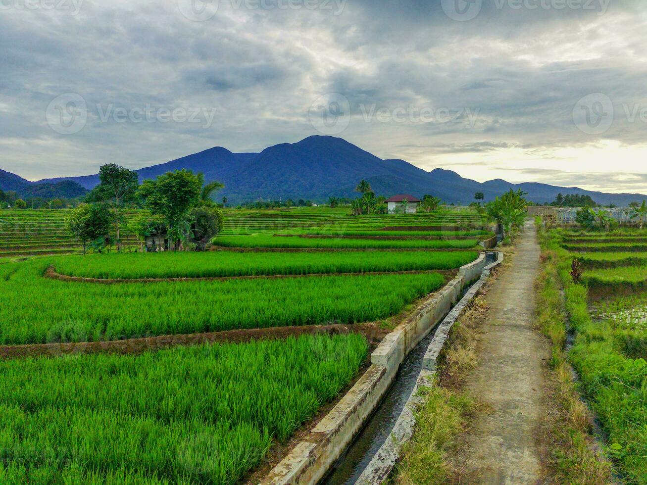 the beauty of the morning panorama with sunrise in indonesia village photo