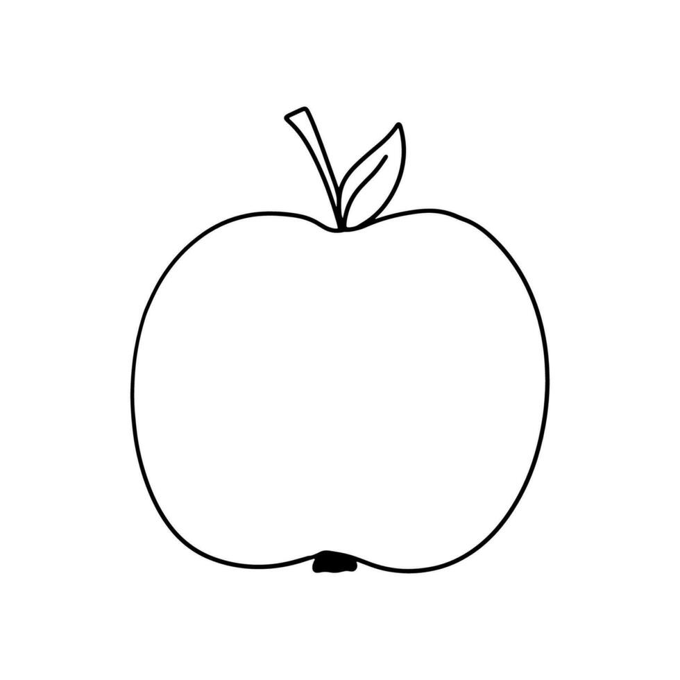 Apple isolated on white. Doodle simple outline illustration. Line sketch fruit vector