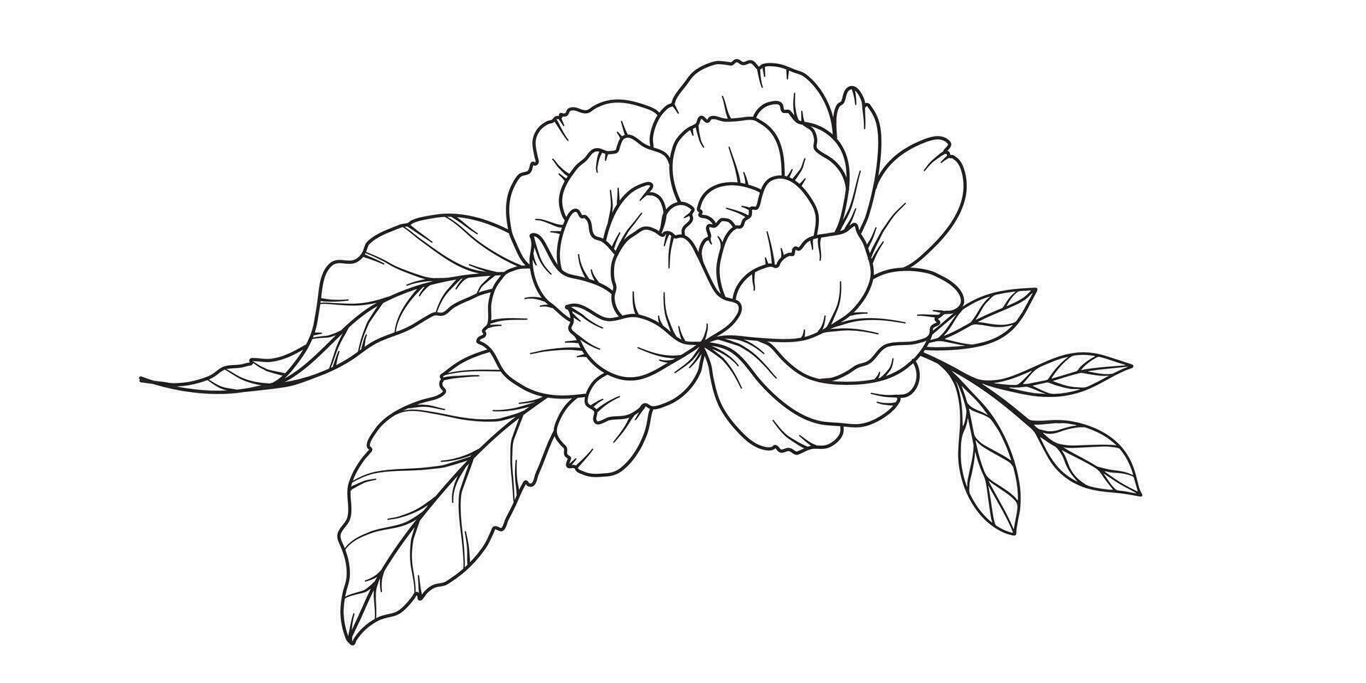 Peony Line Drawing. Black and white Floral Bouquets. Flower Coloring Page. Floral Line Art. Fine Line Peony illustration. Hand Drawn flowers. Botanical Coloring. Wedding invitation flowers vector
