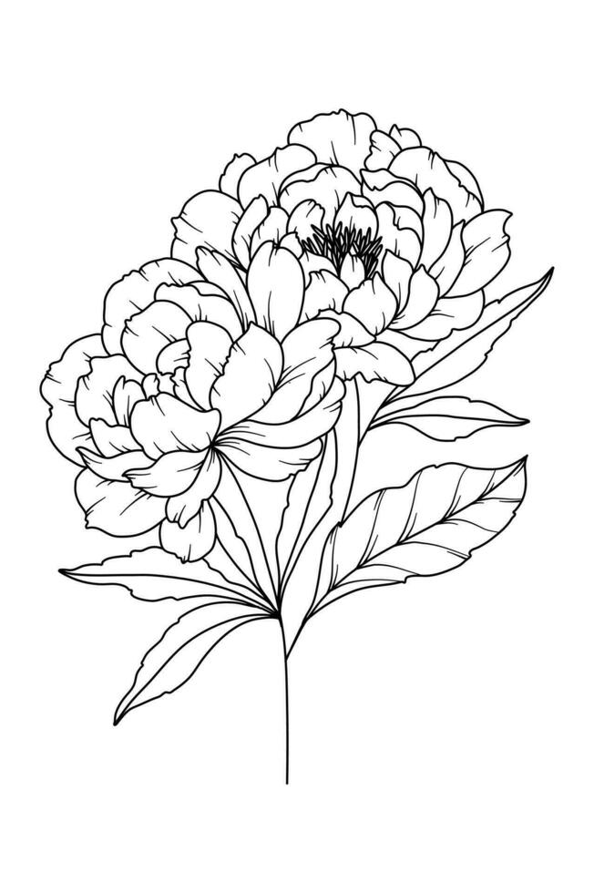 Peony Line Drawing. Black and white Floral Bouquets. Flower Coloring Page. Floral Line Art. Fine Line Peony illustration. Hand Drawn flowers. Botanical Coloring. Wedding invitation flowers vector